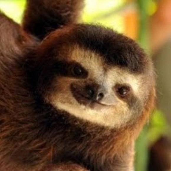 slothfulneutral